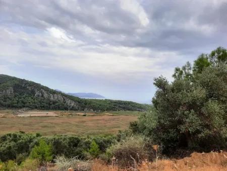 Plots With Sea View For Sale In Sarigerme Muğla