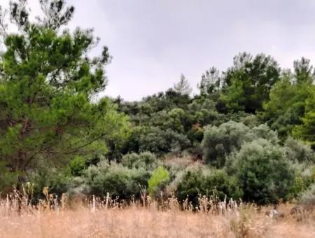 Plots With Sea View For Sale In Sarigerme Muğla