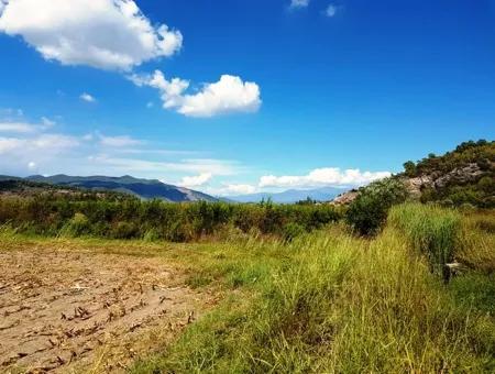 Fertile Bargain Land For Sale In Muğla Ortaca Güzelyurt