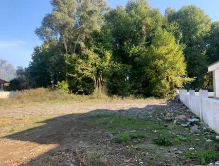 500 M2 Kelepir Land For Sale In Köyceğinz Yangı