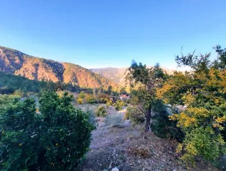 Mugla Dalaman Narli 1800 M2 Bargain Land For Sale