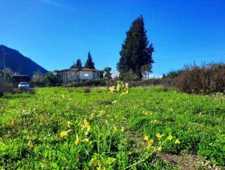 Mugla Ortaca Dalyan Is Also Fertile Land Suitable For 9 300 M2 Investment With Road Facades For Sale