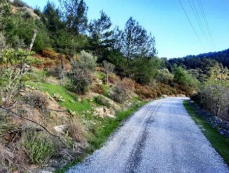 Mugla Dalyan Gokbel 1700 M2 Detached Land And Bungalow With Nature View