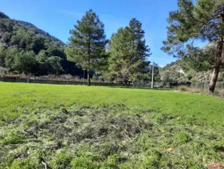 Mergenli For Sale In Ortaca Mountain Zero-Investment A Bargain Suitable Land