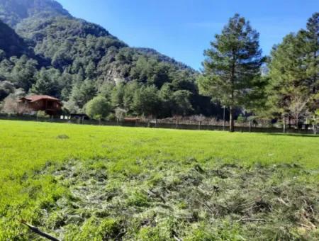 Mergenli For Sale In Ortaca Mountain Zero-Investment A Bargain Suitable Land