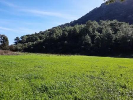 Mergenli For Sale In Ortaca Mountain Zero-Investment A Bargain Suitable Land