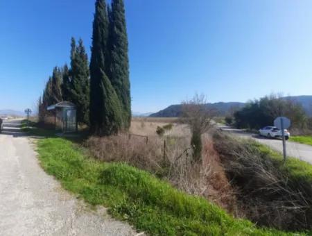 Mugla Ortaca Güzelyurt Sarıgerme Road Facing 2256 M2 Field For Sale