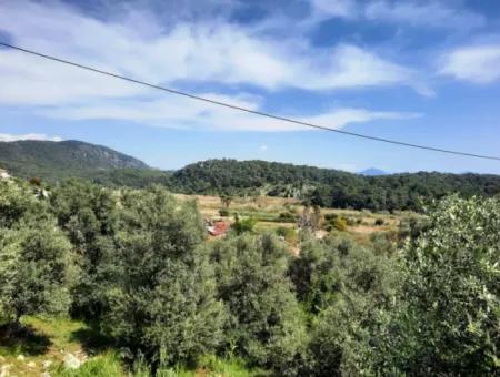 2 Parcels Of Land With 768 M2 Residential Development For Sale In Ortaca Sarıgerme