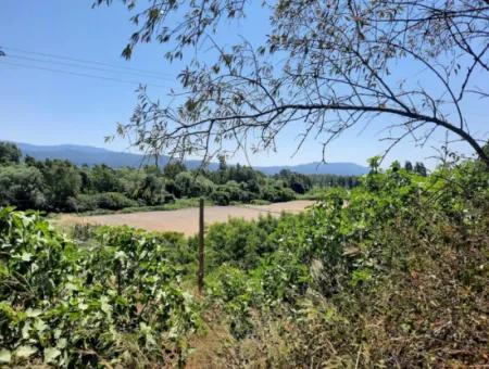 725 M2 Zoning Land And Village House For Sale In Mugla Ula Ataköy