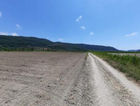 Fertile Land For Rent In Ortaca Güzelyurt