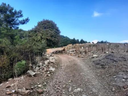 Mugla Dalyan Gökbel 320 M2 Bargain Land For Sale