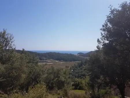 Plot With Sea Views For Sale Bargain Ortaca Sarıgerme