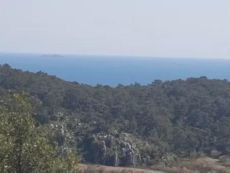 Plot With Sea Views For Sale Bargain Ortaca Sarıgerme