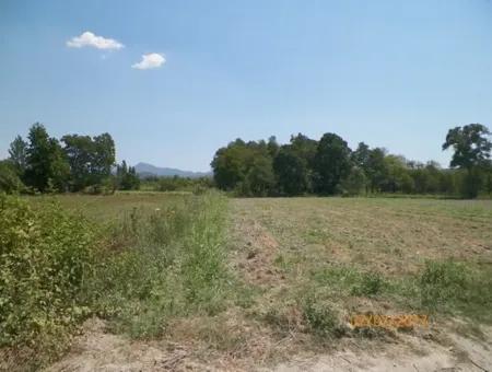 Big Land For Sale In Koycegiz Lake Also Inflammation Zero