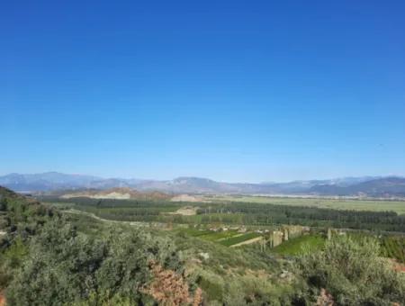 Olive Grove With Sea And Nature View In Ortaca Fevziye For Sale