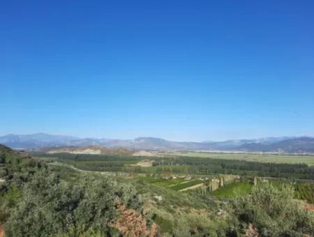 Ortaca Fevziye Sea And Nature View Bargain Detached Olive Grove For Sale