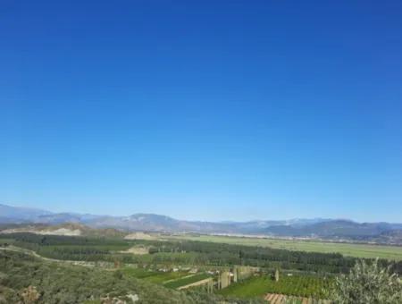 Ortaca Fevziye Sea And Nature View Bargain Detached Olive Grove For Sale