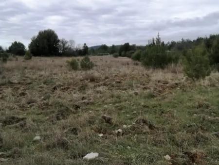 30949 M2 Fertile Field For Sale In Mugla Dalaman Gürleyik