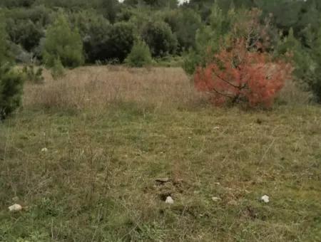 30949 M2 Fertile Field For Sale In Mugla Dalaman Gürleyik