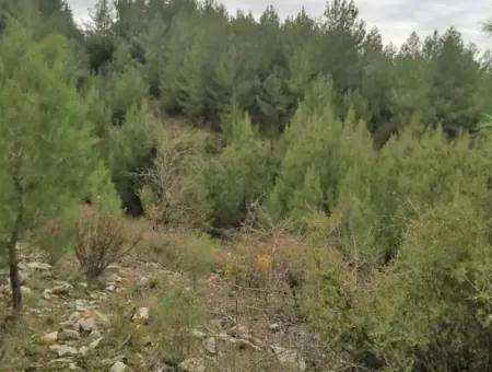 30949 M2 Fertile Field For Sale In Mugla Dalaman Gürleyik