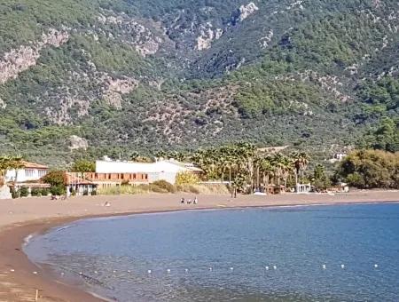 Olive Grove With Sea Views For Sale In Köyceğiz Ekincik