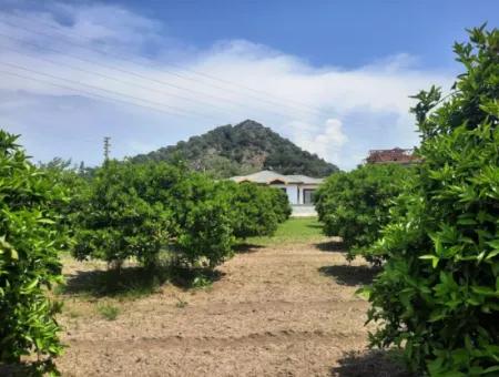 722 M2 Zoned Detached Land For Sale In Dalyan, Muğla