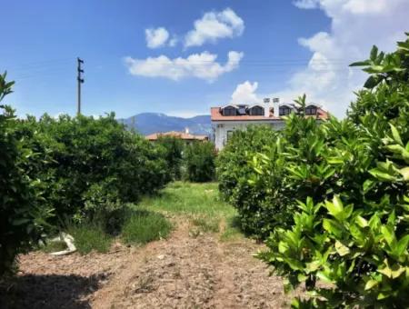 722 M2 Zoned Detached Land For Sale In Dalyan, Muğla