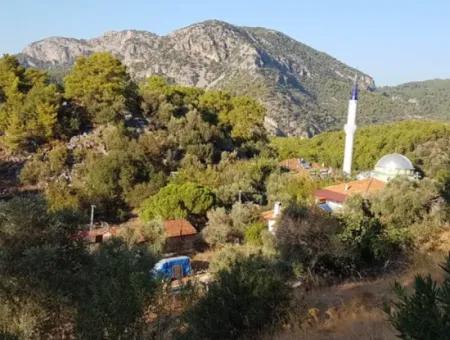 2 500 M2 Detached Bargain Land In Ortaca Gökbel For Sale