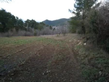 1985 M2 Land And Old Village House For Sale In Fethiye Nif