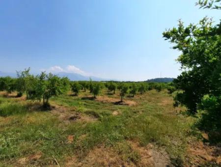 Muğla Ortaca Tepearası For Sale Kelepir Detached 22 250 Land