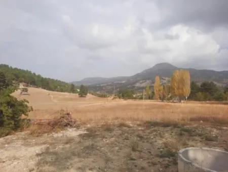 6 230 M2 Detached Land For Sale Or Exchange On The Old Acıpayam Road In Çameli Cumanda