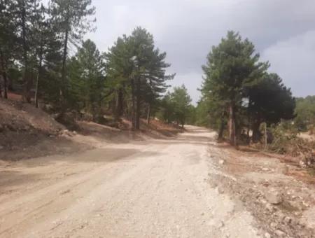 6 230 M2 Detached Land For Sale Or Exchange On The Old Acıpayam Road In Çameli Cumanda