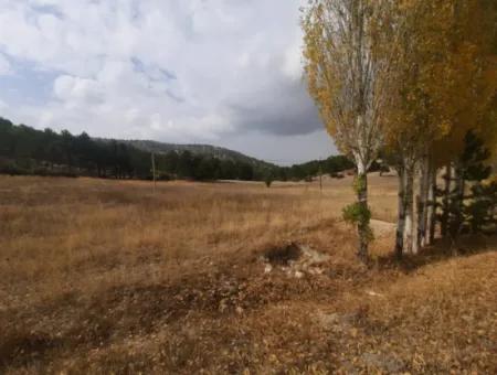 6 230 M2 Detached Land For Sale Or Exchange On The Old Acıpayam Road In Çameli Cumanda