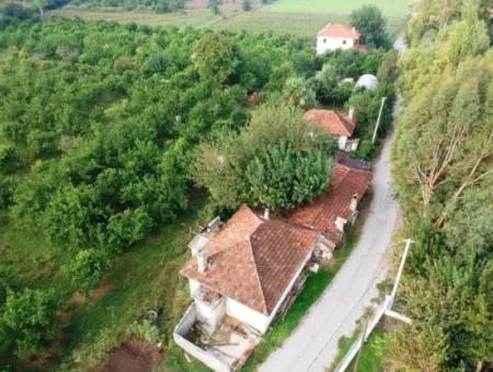 Muğla Ortaca Marmarlıda 4.000 M2 Lemon Garden 5 Years Rental