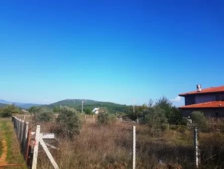 Ula Farm For Sale