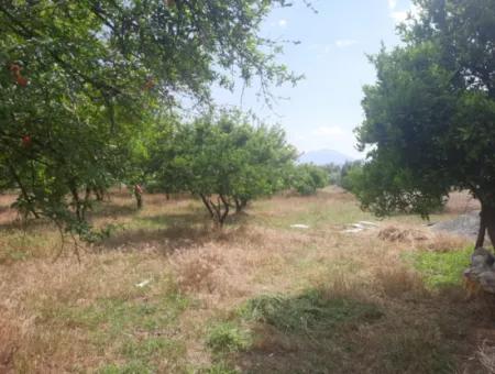 Köyceğiz Toparlar Lake View 2 100 M2 Zoned Land And 2 Houses For Sale