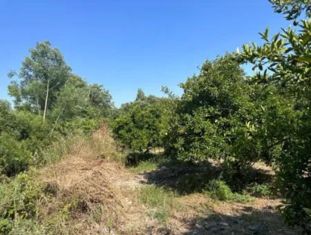 9 494 M2 Land Suitable For Investment With 250M2 Construction Right In Ortaca Ekşiliyurt For Sale