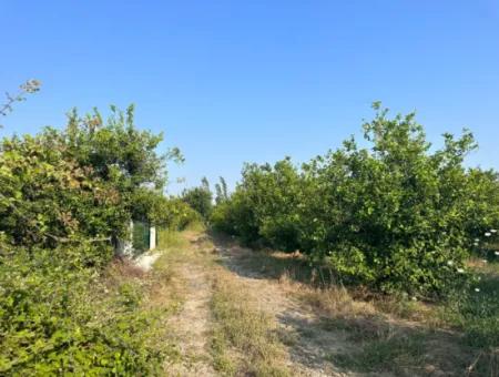 500 M2 Land For Sale In Ortaca Dikmekavak