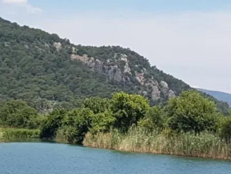 Köyceğiz Çandır Dalyan Canal Zero 25,190 M2 Land Suitable For Investment For Sale