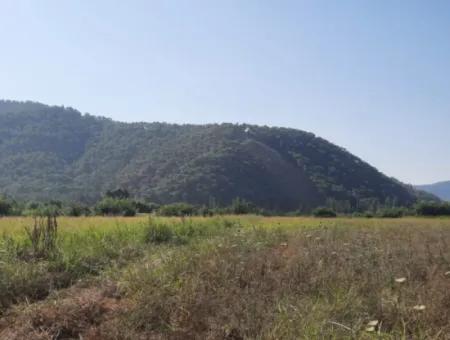 10 000 M2 Land For Sale With House In 2-Storey Rough Construction Between Ortaca Hill And Muğla Ortaca.