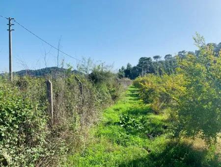 For Sale Land For Sale In Mergenli