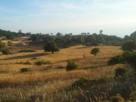 Land With Sea View For Sale At Boğaziçi Seydikemer