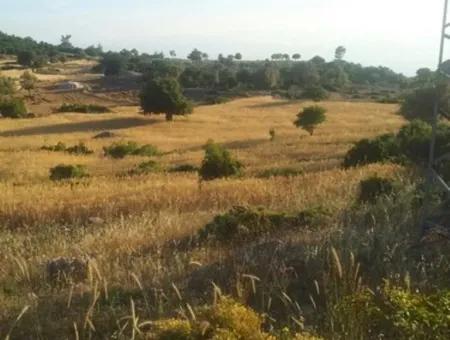 Land With Sea View For Sale At Boğaziçi Seydikemer