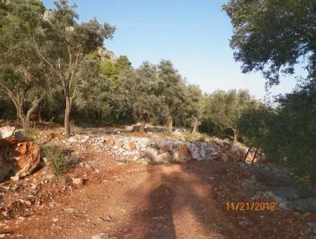 Fevziye Land For Sale With Sea View