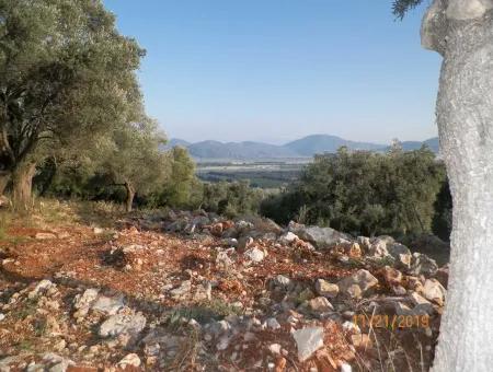 Fevziye Land For Sale With Sea View