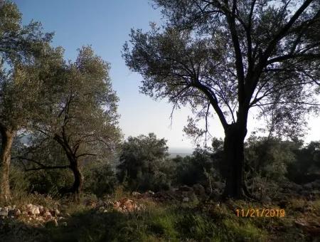 Fevziye Land For Sale With Sea View
