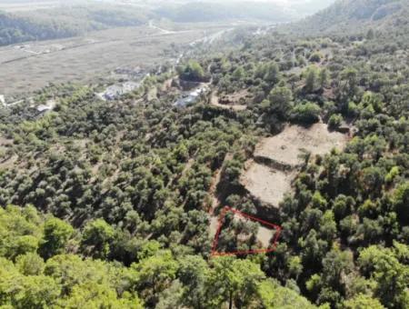 For Sale 403 M2 Plot Of Land In Sarigerme