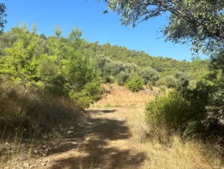 For Sale 403 M2 Plot Of Land In Sarigerme