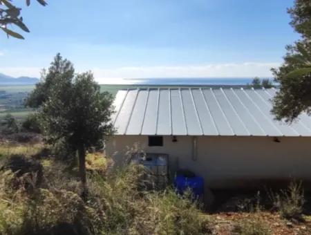 11.000M2 Olive Grove For Sale In Fevziye With Magnificent Nature And Sea View