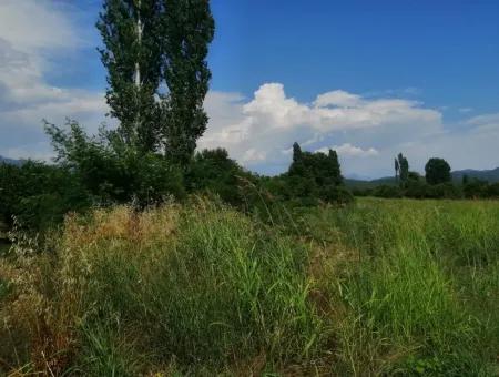 Farm For Sale In Köyceğiz Beyoba Bargain